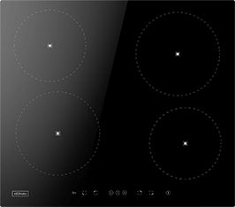 Induktionsfeld Reparatur Sinsheim